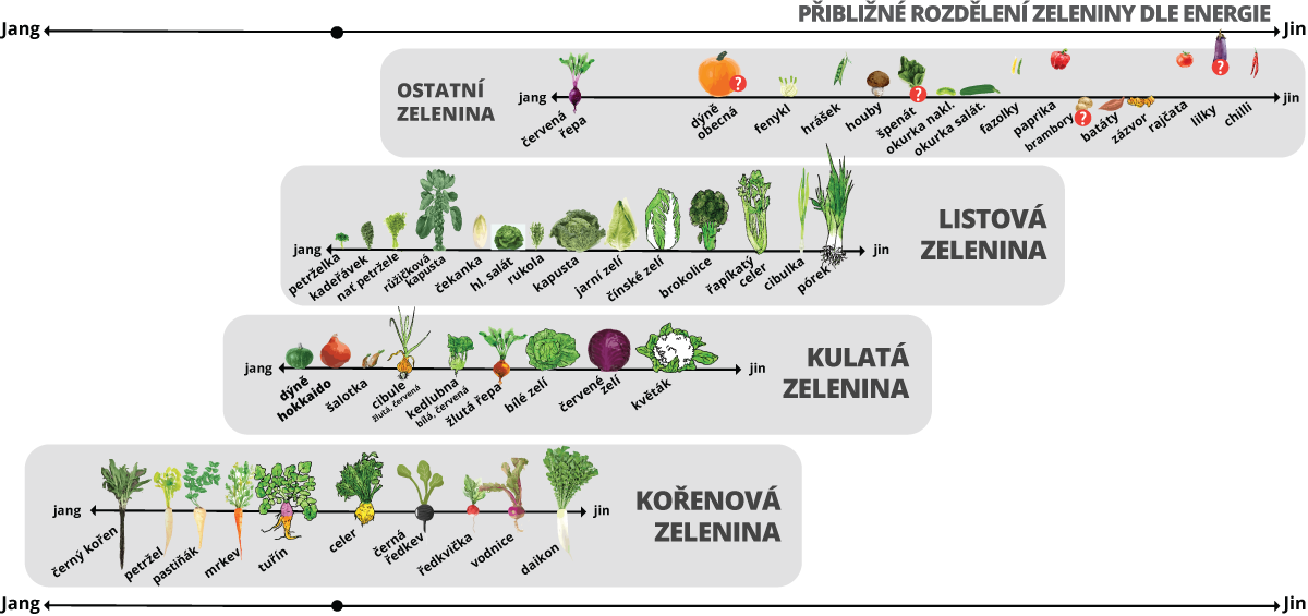 Energie zeleniny